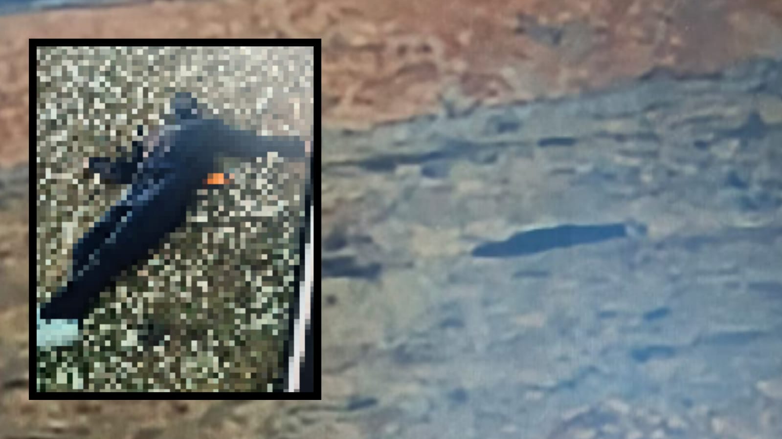 Sınırda acı son! Türkiye'ye geçmek isterken...