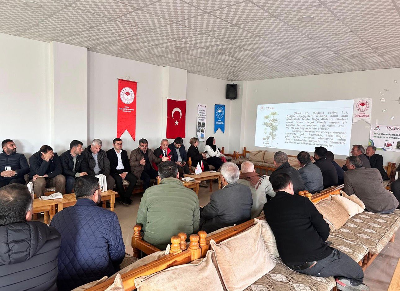 Şanlıurfa'da çörek otu yetiştiriciliğine maddi destek... İlçe Tarımdan çiftçilere eğitim