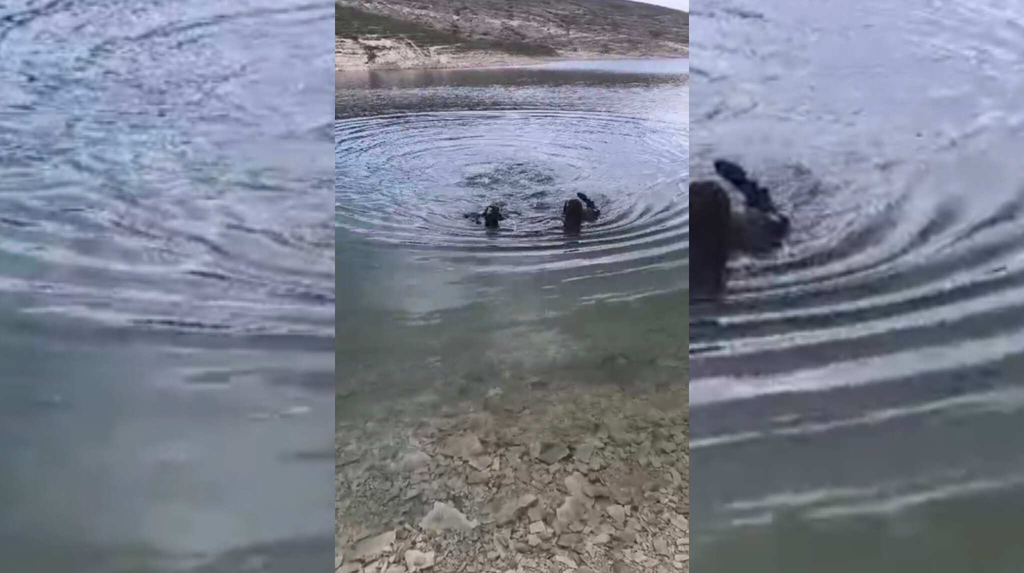 Atatürk Barajı'nda intihar iddiası: Kimliği belli oldu