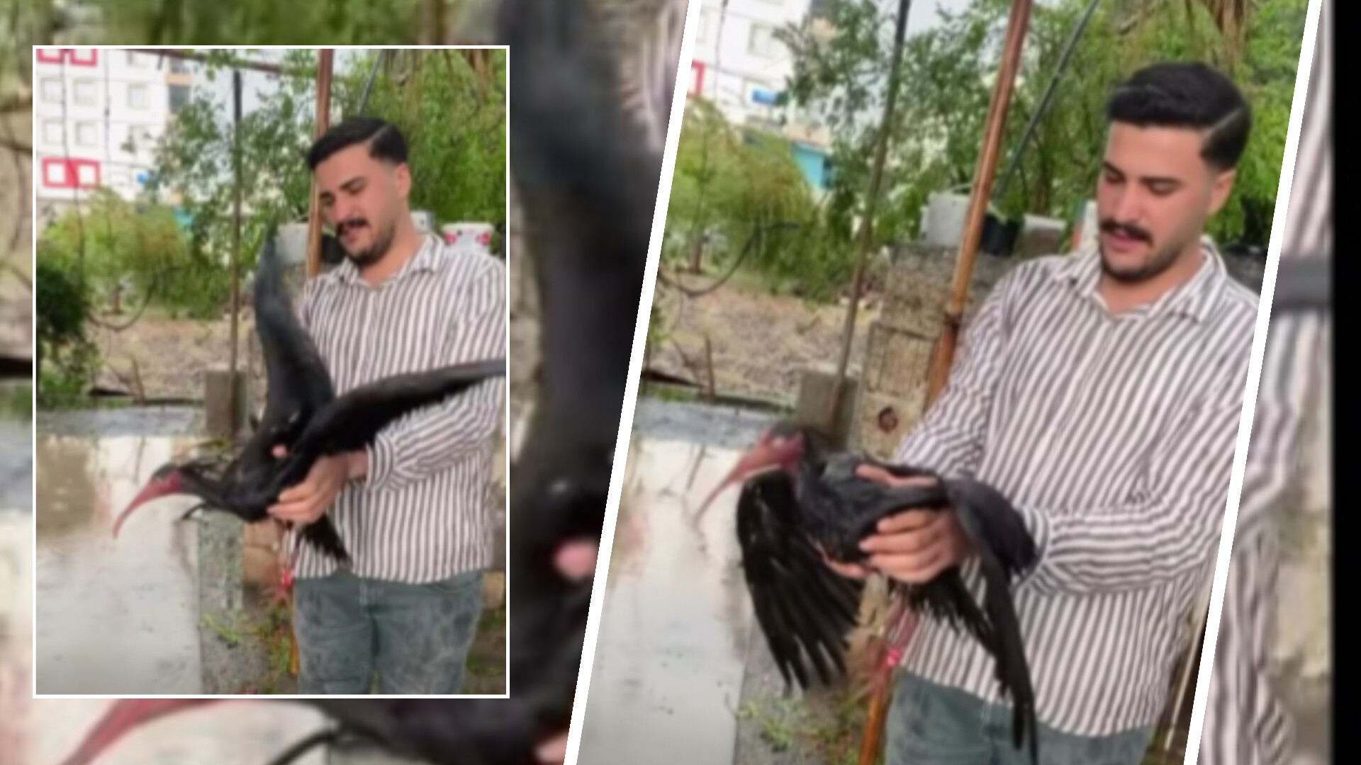 Birecik'in eşsiz değeri fırtınada yara aldı!