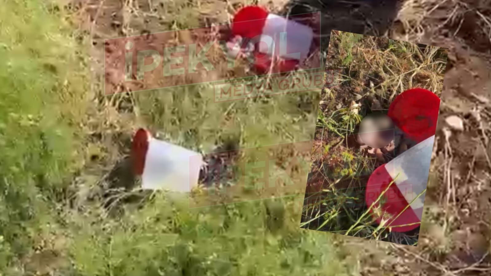 Böylesi görülmedi: Şanlıurfa'da plastik kutulardakiler kan dondurdu...