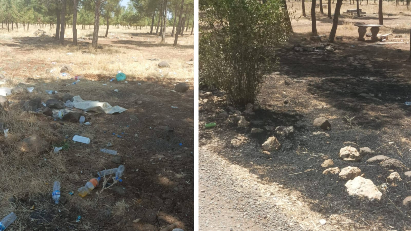 Gözdeydi, harebe oldu! Şanlıurfa'da mesire alanı ilgi bekliyor...