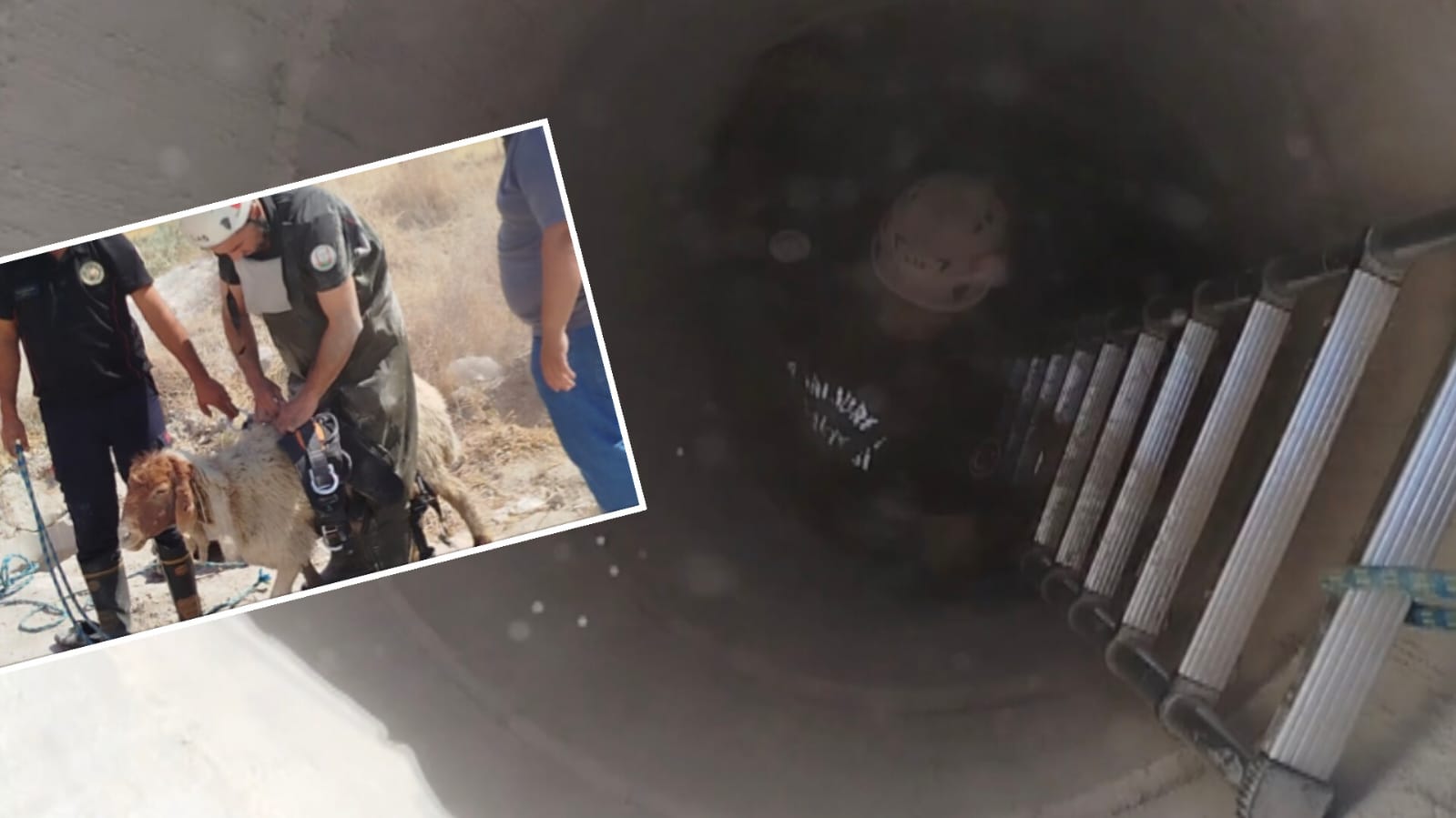 Şanlıurfa İtfaiyesinden kurtarma operasyonu: Günlerdir aranıyordu, kuyudan çıktı...