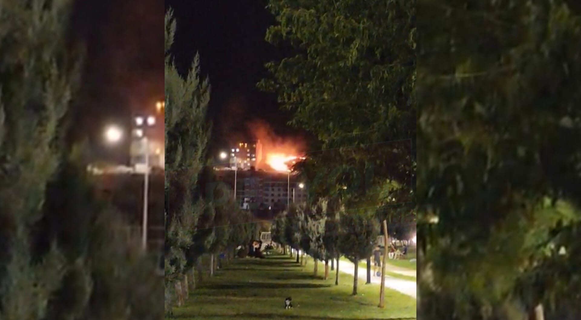 Şanlıurfa'da yangın geceyi aydınlattı: Kilometrelerce öteden görüntülendi...