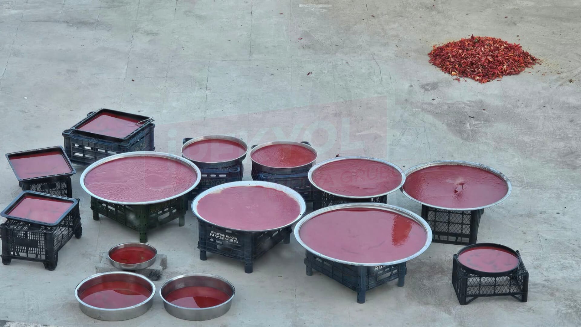 Ve sezon başladı: Şanlıurfa'da damlar en güzel rengini aldı....