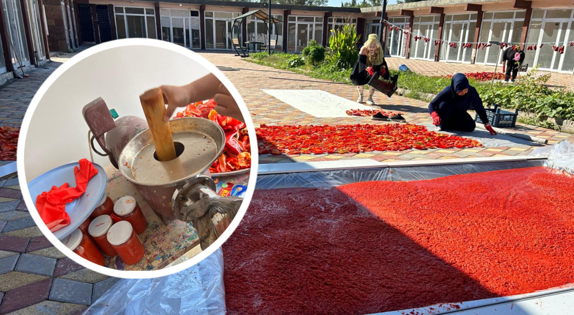 Şanlıurfa'da belediyeden kadınların kış mesaisine destek... Tüm kadınlara davet