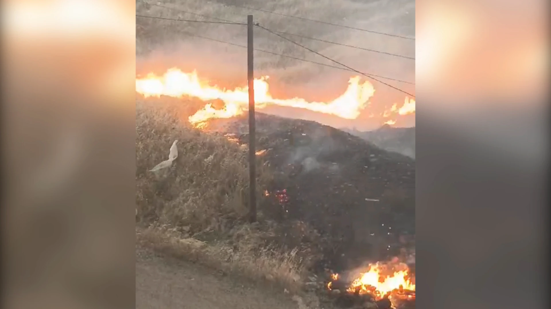 Haliliye'de elektrik telinden çıkan yangın yağmurla söndü