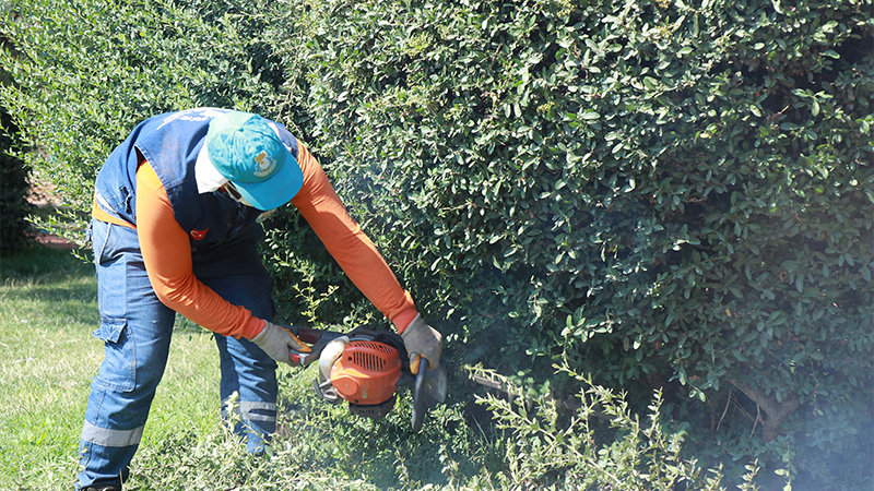 Haliliye’de doğayla iç içe yaşam alanları oluşturuluyor