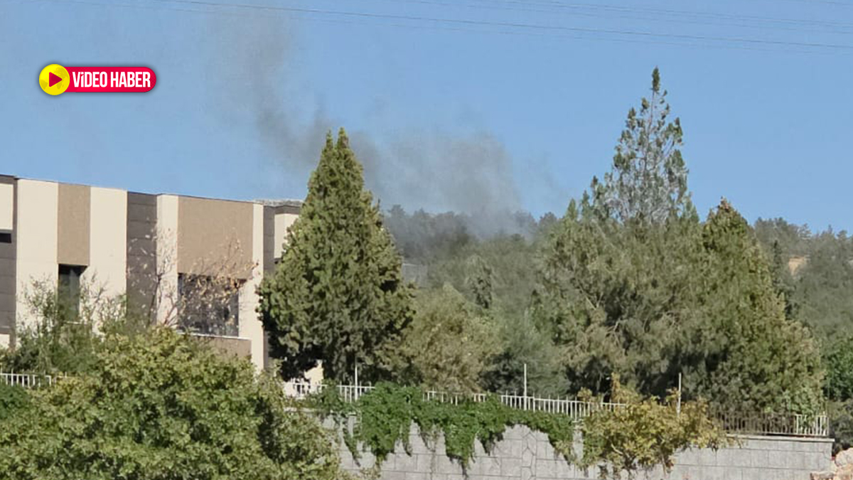 Şanlıurfa’da orman yangını! Ekipler harekete geçti