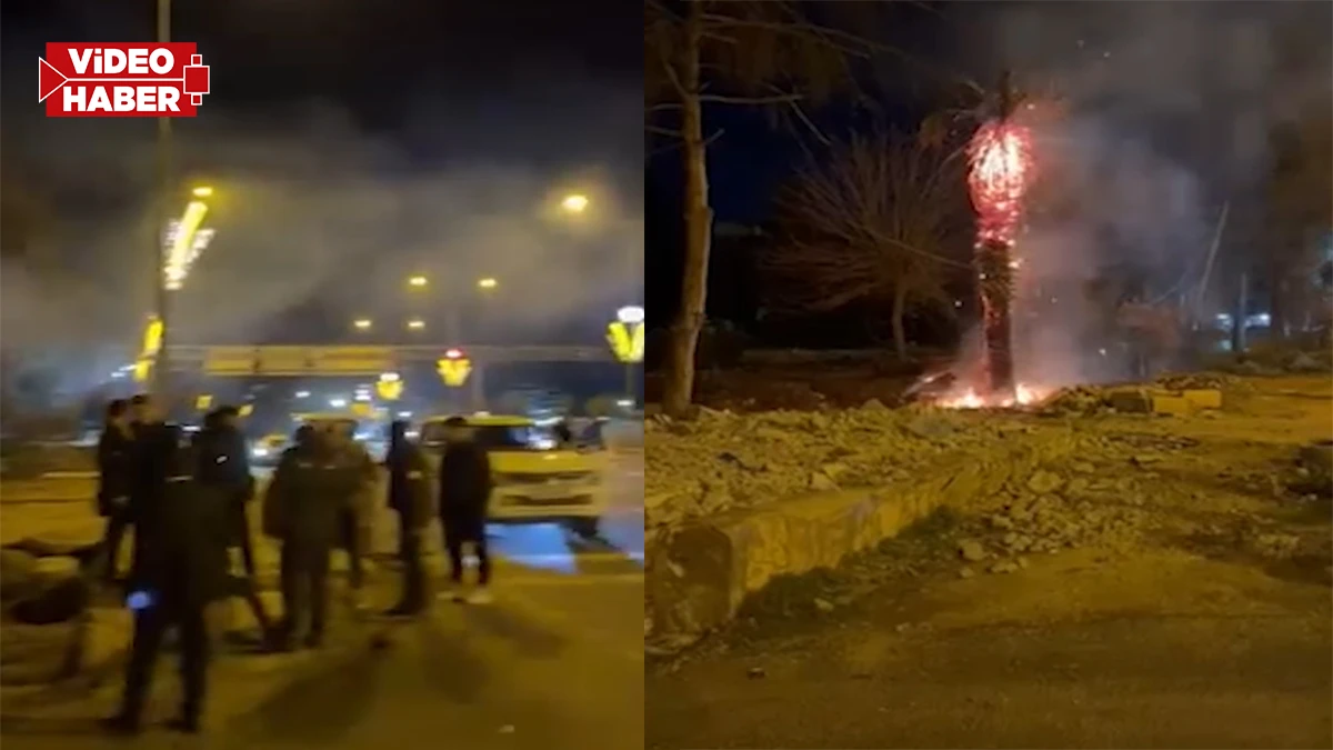 Vicdansızlık: Şanlıurfa’da ağaçları tutuşturup izledi!