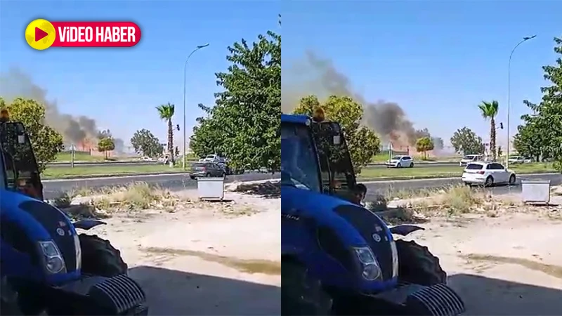 Şanlıurfa’da korkutan anız yangını! Kent merkezine sıçradı