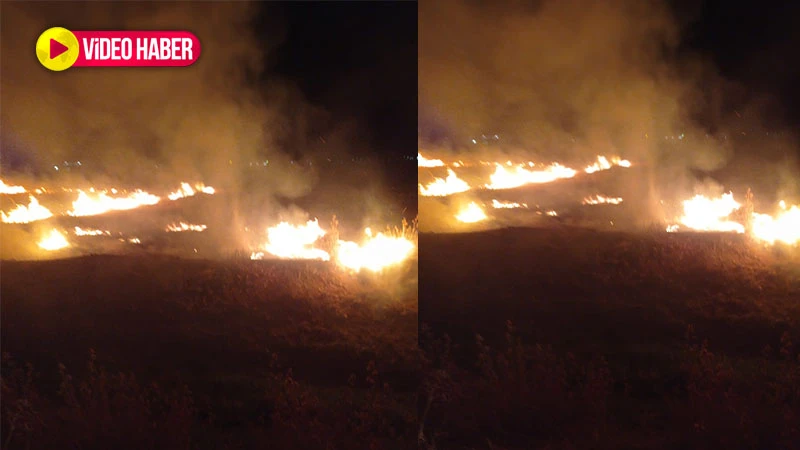 Şanlıurfa’da gece saatlerinde korkutan yangın: Otluk alan alevlere teslim oldu