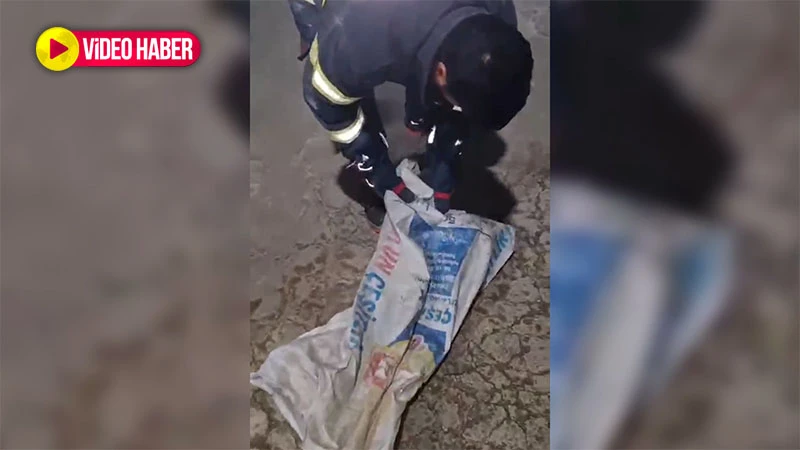 Şanlıurfa'da 3,5 metre boşluğa düştüler! İtfaiye ekipleri seferber oldu