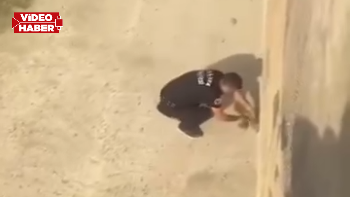 Şanlıurfa’da dereye düşen yavru köpek annesine kavuşturuldu