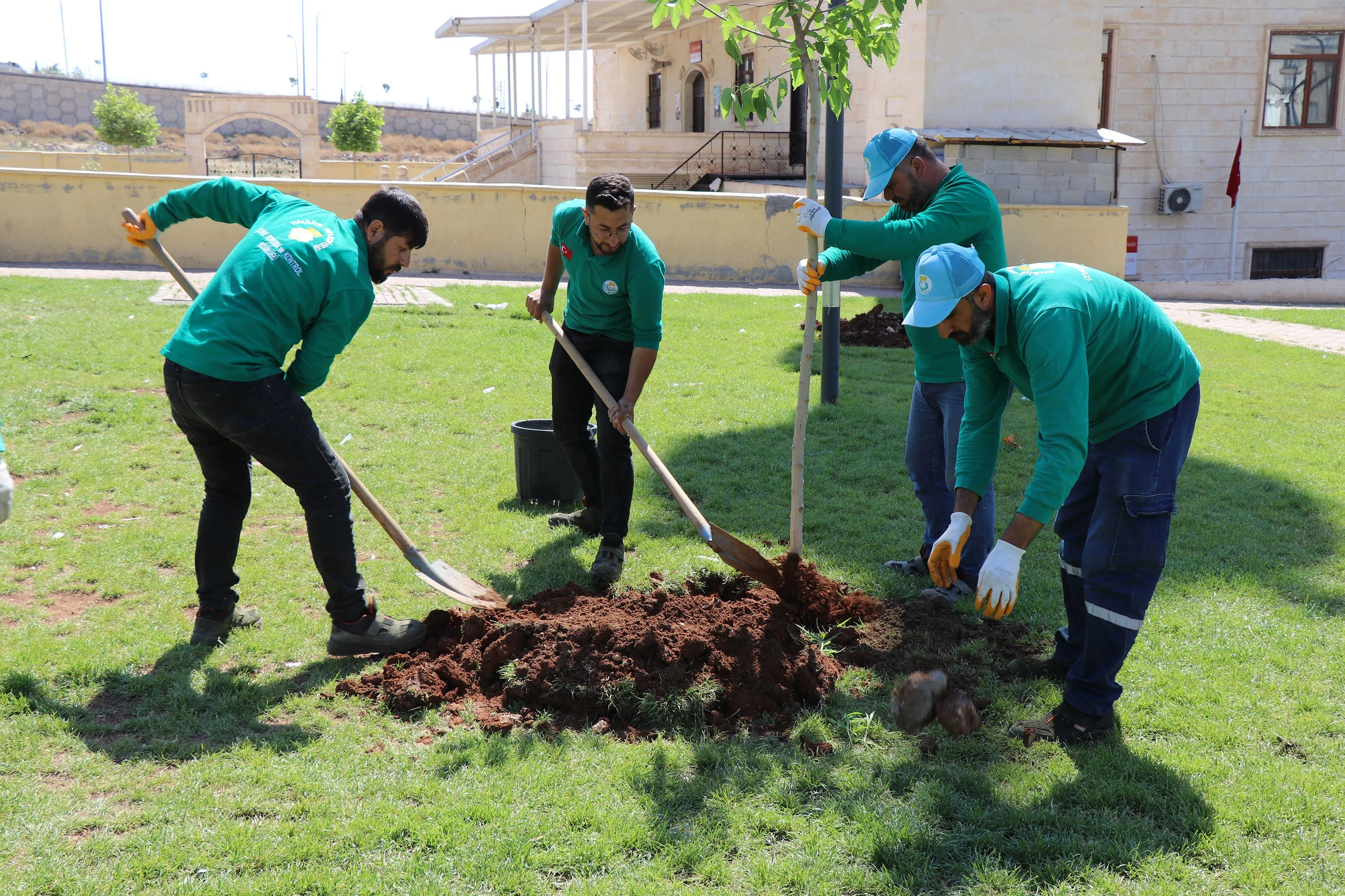 Haliliye’de yeşil dönüşüm!
