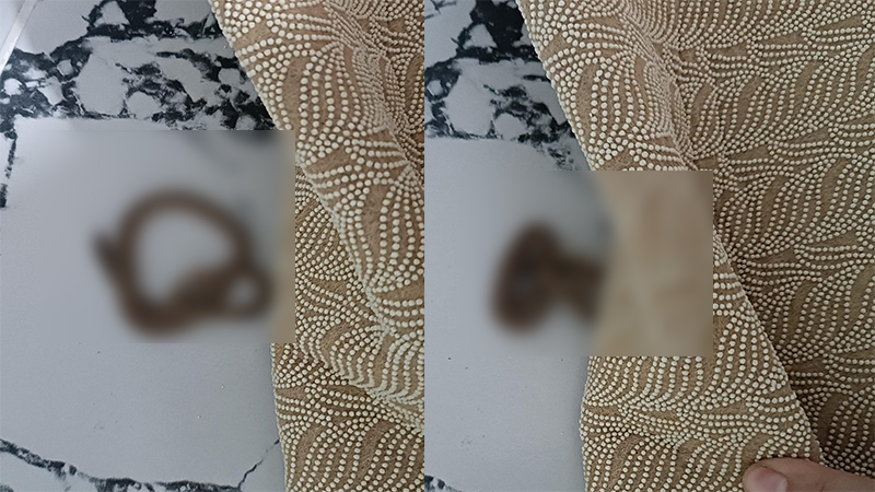 Şanlıurfa'da ‘pes artık’ dedirten olay: Evdeki halıyı kaldırdı, hayatının şokunu yaşadı!