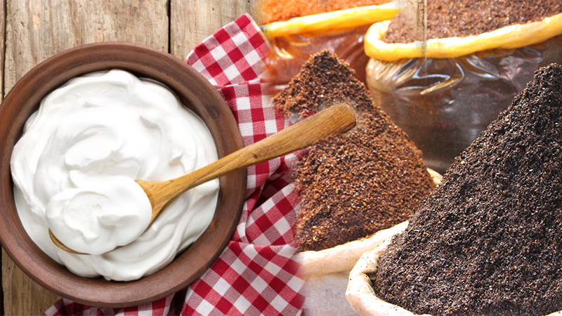 Gaziantep’te yoğurt ve pul biberde hile