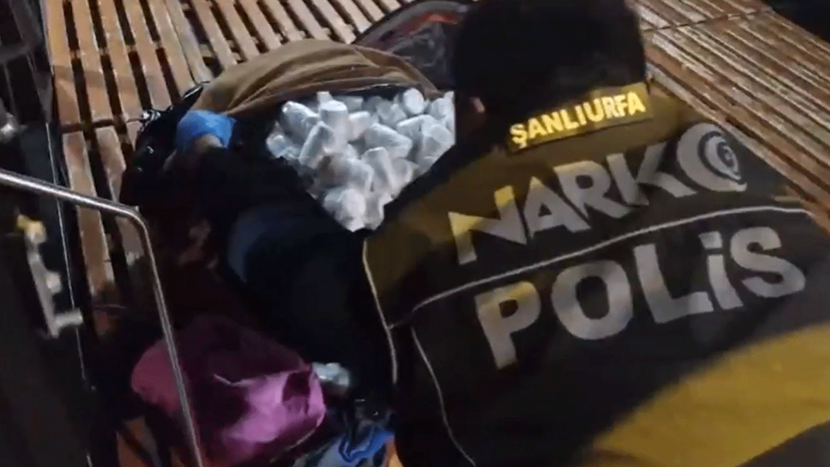 Şanlıurfa’da otobüsün bagajından bakın ne çıktı! Tam 15 bin adet…