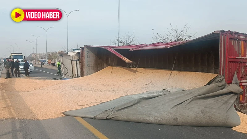 Şanlıurfa’da tır devrildi: Tonlarca mısır yola döküldü