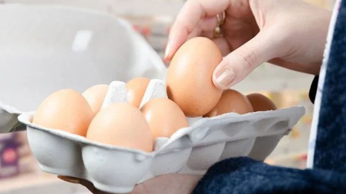 Okul zili çaldı, yumurta fiyatları uçuşa geçti!