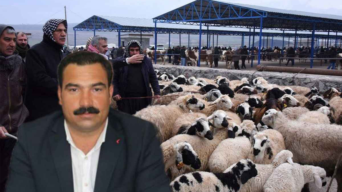 Barış için durmuştu! Başkan Çiftçi: İlgili taraflara gerekli uyarılar yapıldı