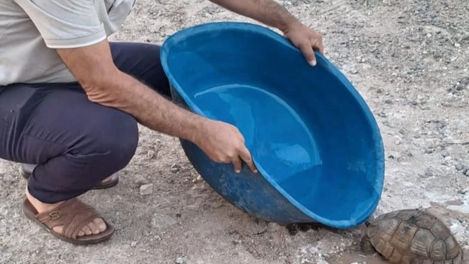Şanlıurfa sıcaklarında susuzluktan bitkin düşmüştü...
