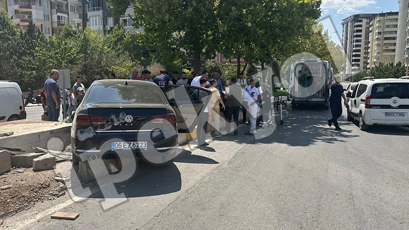 Şanlıurfa'da geriye kalan tek nar da uçtu