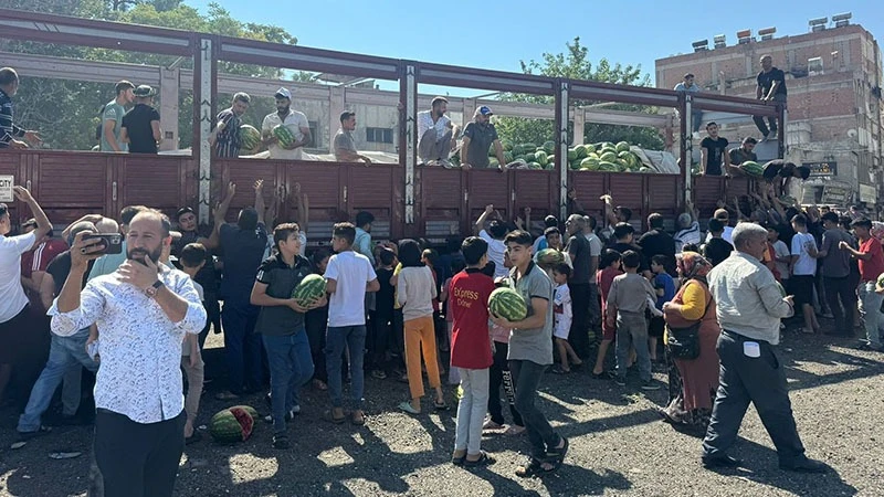 Şanlıurfa'da 27 ton karpuzu ücretsiz dağıttı