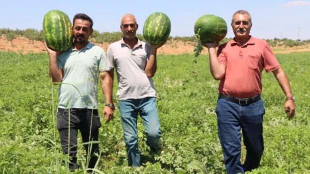 Dağların kar suyu lezzet veriyor